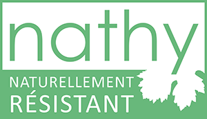 Novatech - Projet Nathy : Nathy - Vari&eacute;t&eacute;s de raisin naturellement durable (Accueil)
